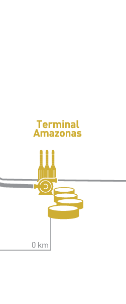 Terminal Amazonas